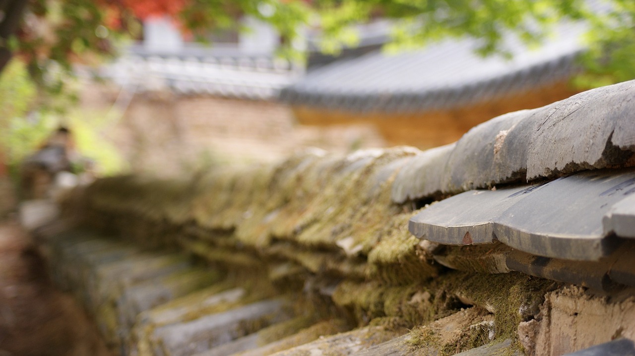 How Social Media Influences Cultural Heritage Awareness